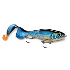Rapala X-Rap Otus 25cm -Vision Winkel 000011980014ARB0r 2