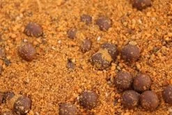 Vision Winkel -Vision Winkel 08 0006 2