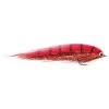 Guideline Red Predator #4/0 – 20cm -Vision Winkel 105753GL 1