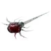 13 Fishing Coconut Crab Panfish Plastics (6pcs) -Vision Winkel 129617NOr 1