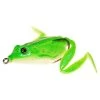 IFISH Frog 18g -Vision Winkel 20170911r 1