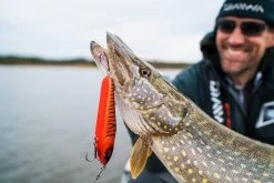 Daiwa Prorex Lazy Jerk Slow Sink 6 Daiwa Prorex Lazy Jerk Slow Sink -Vision Winkel 209387r 2