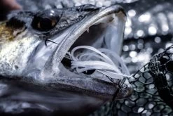 Quantum 4Street Chatter -Vision Winkel 22 3139104r 4