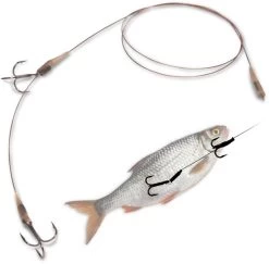 Vision Winkel -Vision Winkel 22 4272004r 2