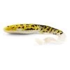 Gator Catfish 45cm, 330g 1 Gator Catfish 45cm, 330g -Vision Winkel 578GATORr 1