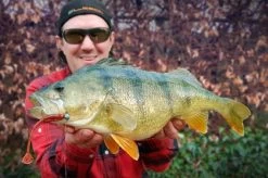 High5Lures Drop9 (6pcs) -Vision Winkel DRP9101r 4