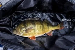 FKP-Gear Perch Station -Vision Winkel FKPPERCHSTATION 6