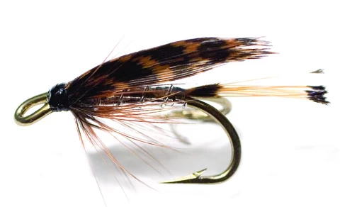 Heggeli Silver 3 Heggeli Silver