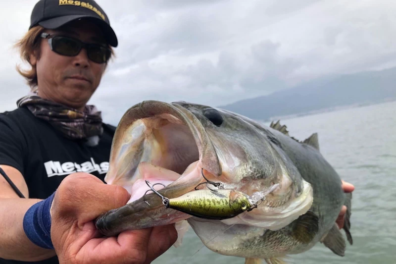 Megabass Deep-X 100 LBO 4 Megabass Deep-X 100 LBO - Afbeelding 2