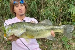 Megabass Vibration-X Dyna (Rattle In) -Vision Winkel MB VXDR 4513473465505r 3