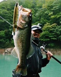 Madness Japan Balam Swimbait 10 Madness Japan Balam Swimbait -Vision Winkel MJPBSIMr 2