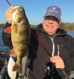 Westin BuzzBite Crankbait Suspending -Vision Winkel P145 023 001r 2