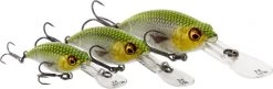 Westin BuzzBite Crankbait Suspending -Vision Winkel P145 023 001r 3