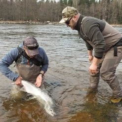 Vision Koski Small Sock -Vision Winkel V4800 SSr 8