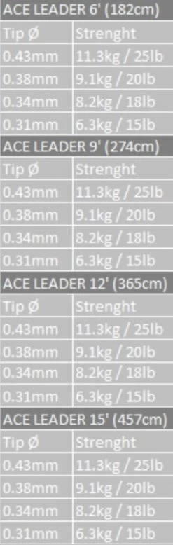 Vision ACE Leader -Vision Winkel VAL943r 2