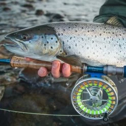 Vision Stifu Flyrod -Vision Winkel VFU4967r 3