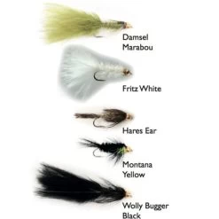 Goldhead Stillwater 5-pak