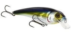 RawBite 11cm 27g Low Floating -Vision Winkel WS14112r 4