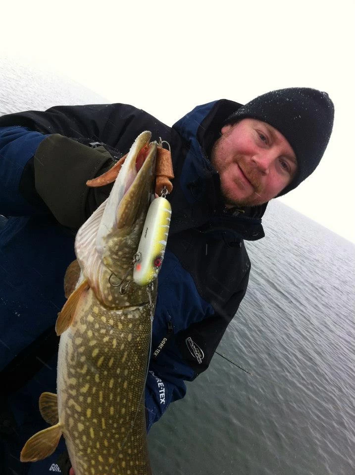 SvartZonker Big Tail (2-pak) 4 SvartZonker Big Tail (2-pak) - Afbeelding 2