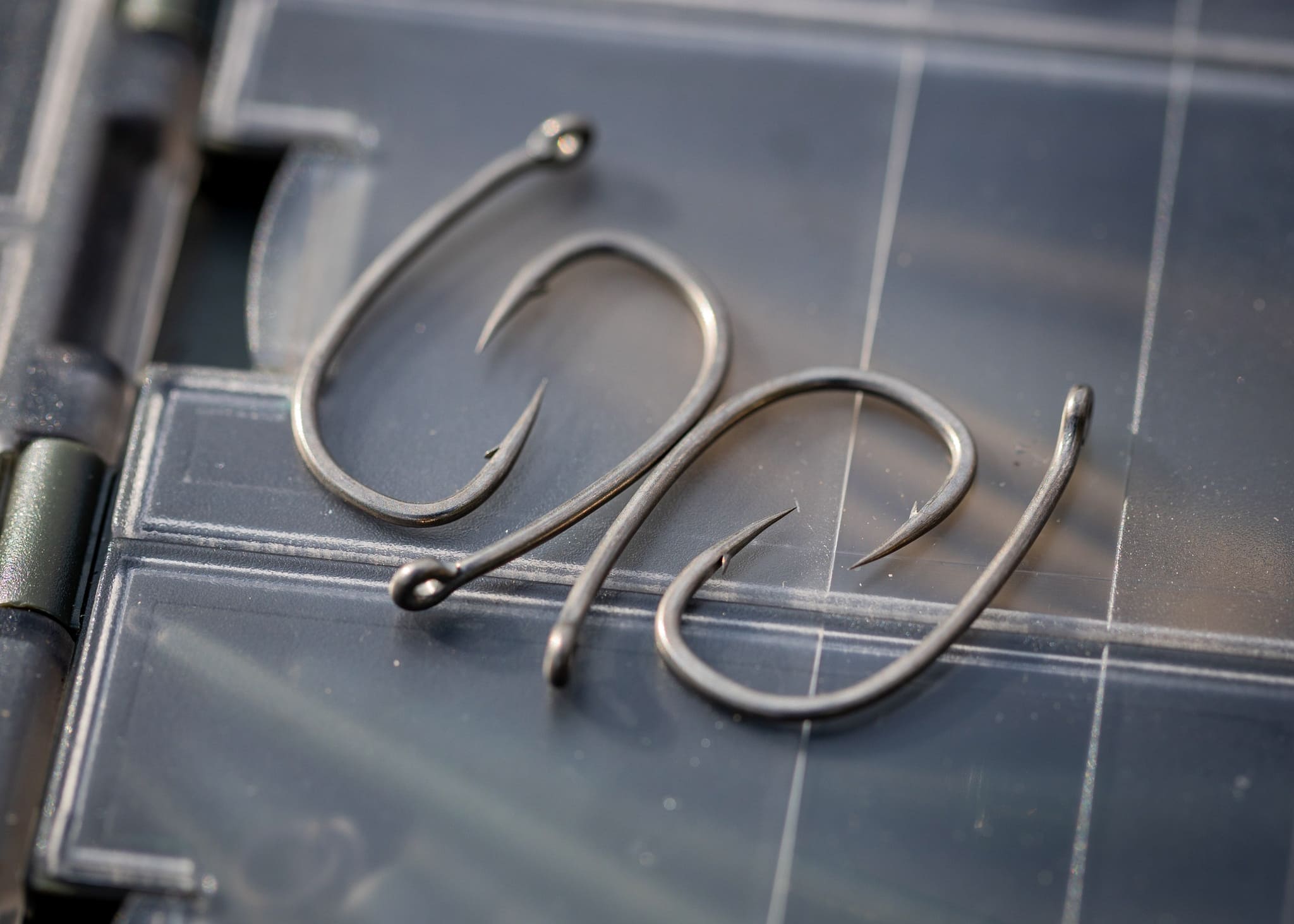 Vision Winkel -Vision Winkel 486387527 1076605604502484 1070337342896712670 n 1